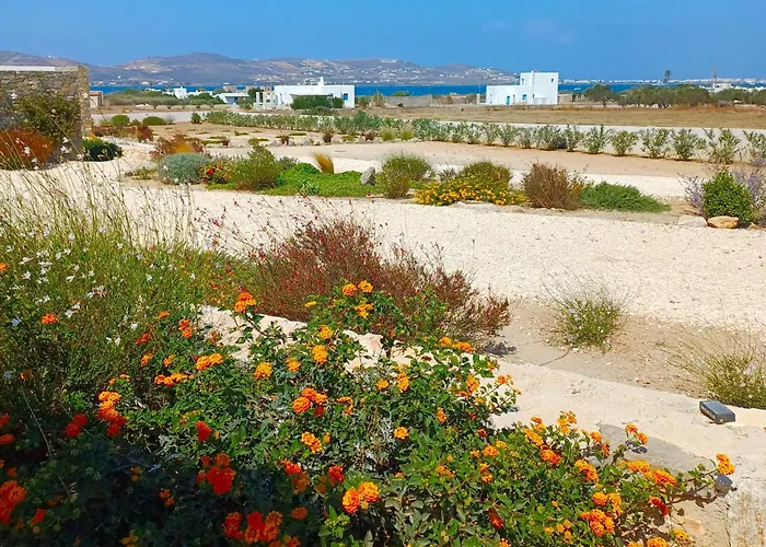 Campo Διαμέρισμα Kampos (Antiparos)